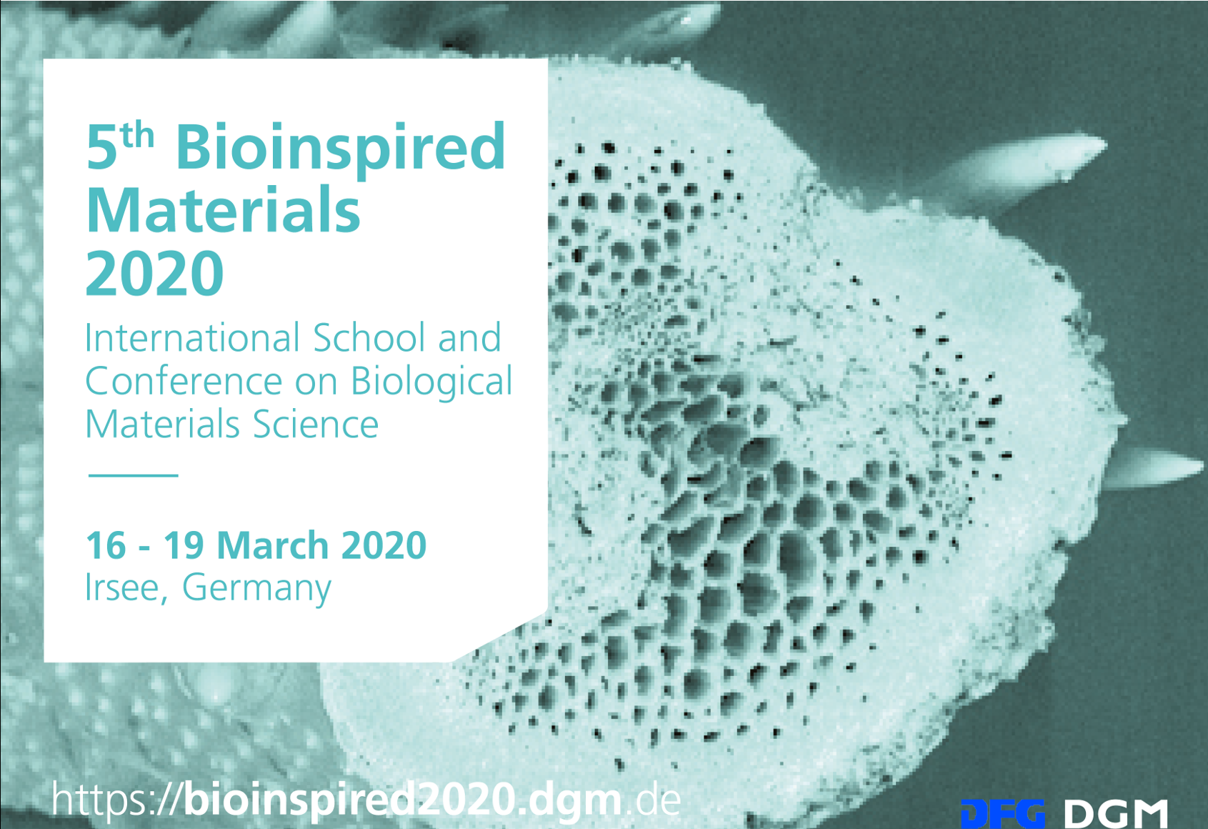 Meet Linus on March 17, 2020 at the 5th Bio-Inspired Materials Conference